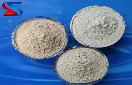 ���X�\��|����|�X�\������չʾ